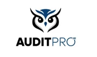 AuditPro.ai Brings AI Audit Training to University Accounting Courses