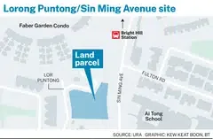 The 46,106 sq ft site in Lorong Puntong/Sin Ming Avenue can generate about 140 private housing units.